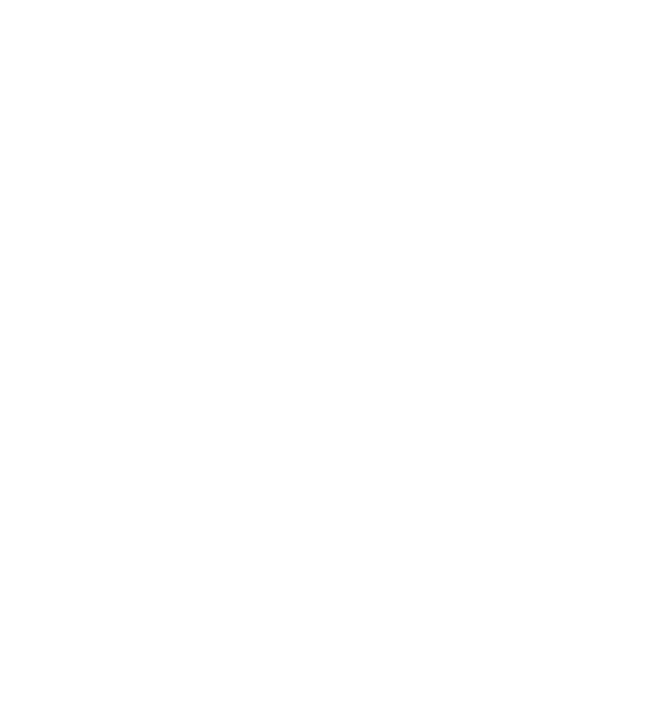 TikTok Shop